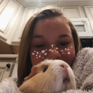 Meet your Posher, Josie